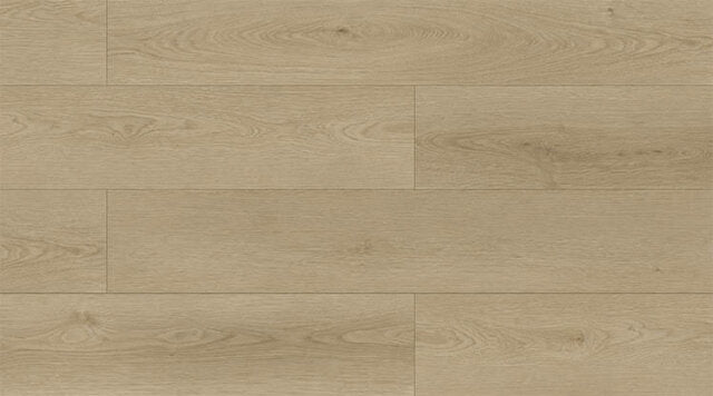 EC8271 Venus Oak