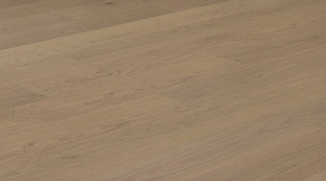 MT8145 Oak, Mirabel