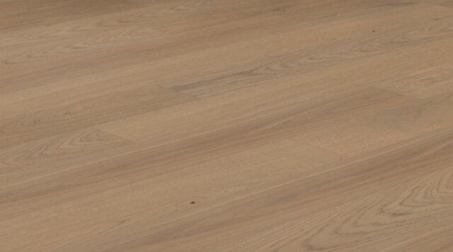 MT8150 Oak, Chloe