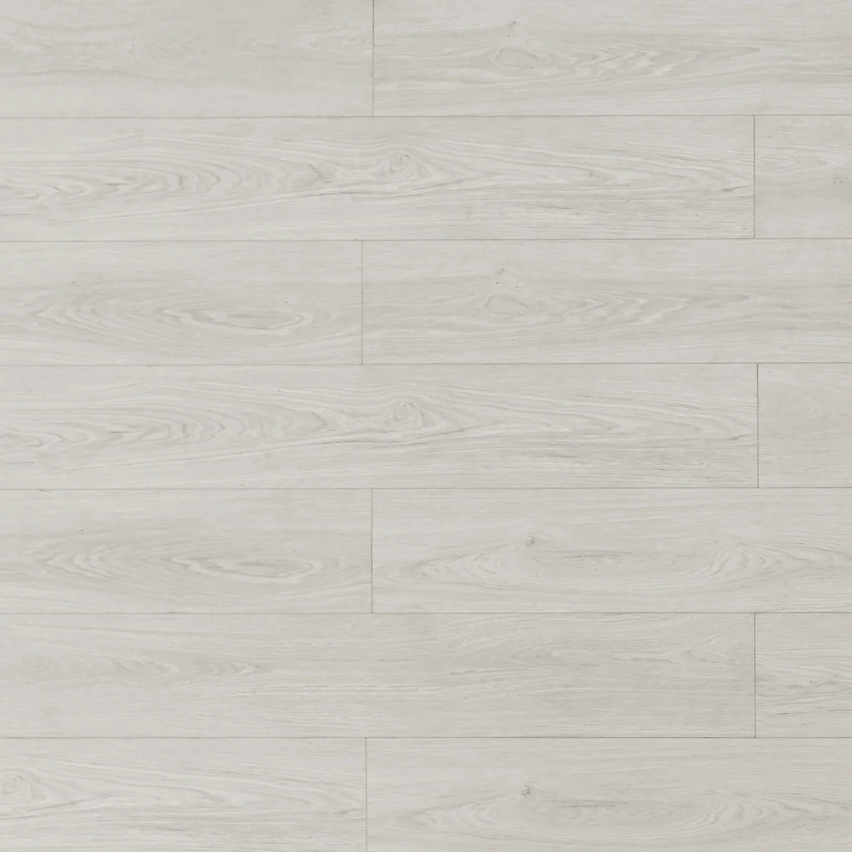 TF8301-F | Arctic Hare