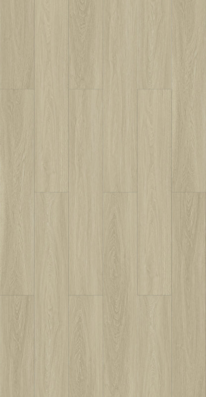 Angora RS001