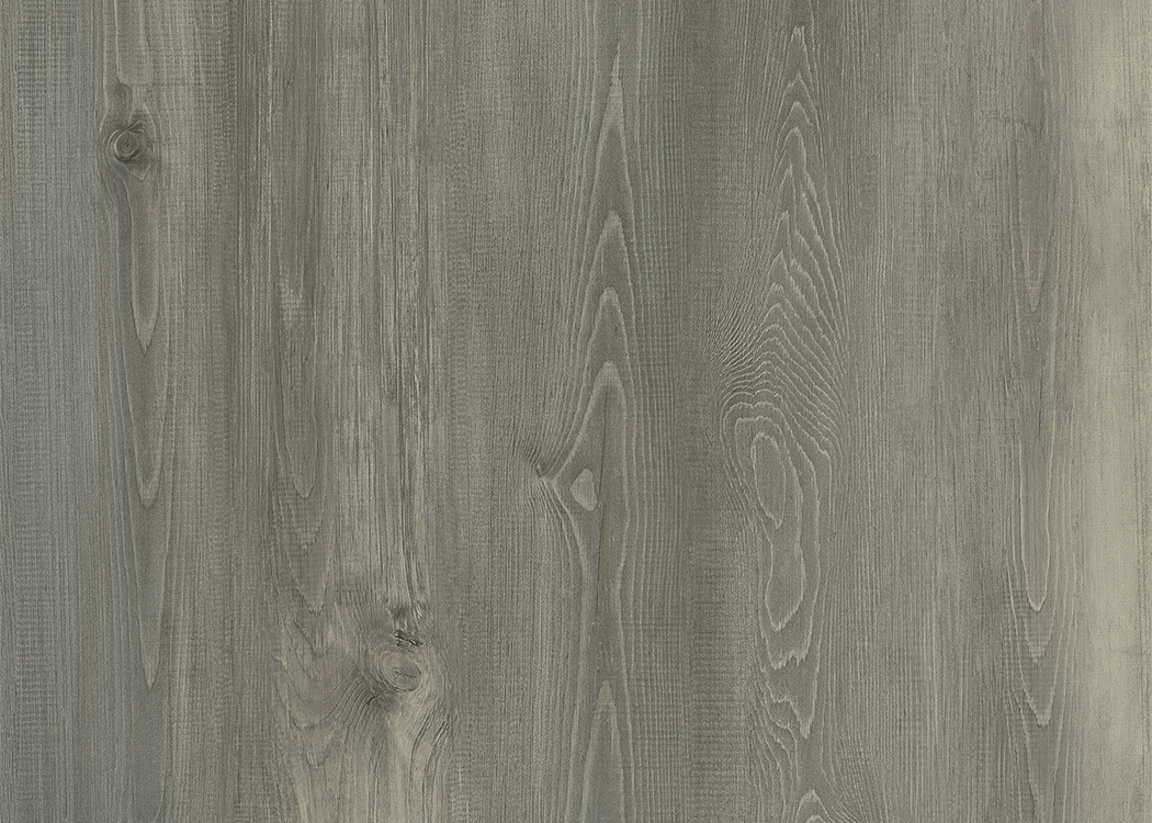 Fir DR004