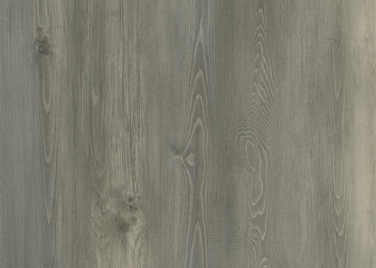 Fir DR004