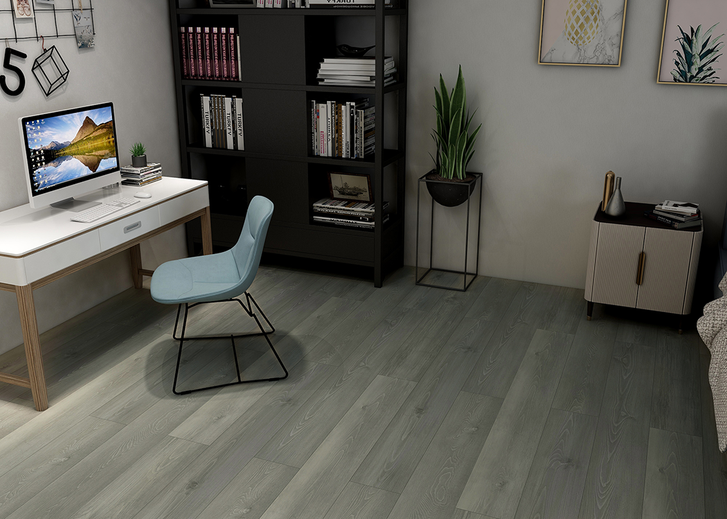 Fir DR004