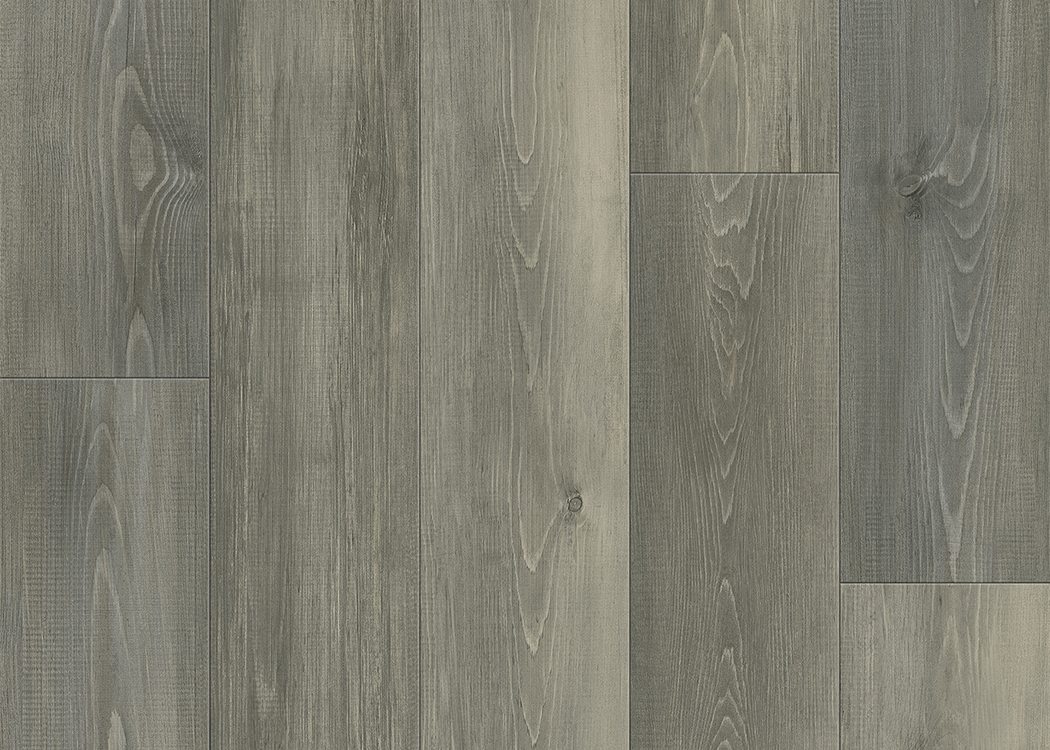 Fir DR004