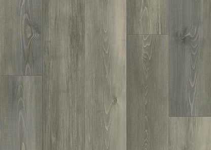 Fir DR004