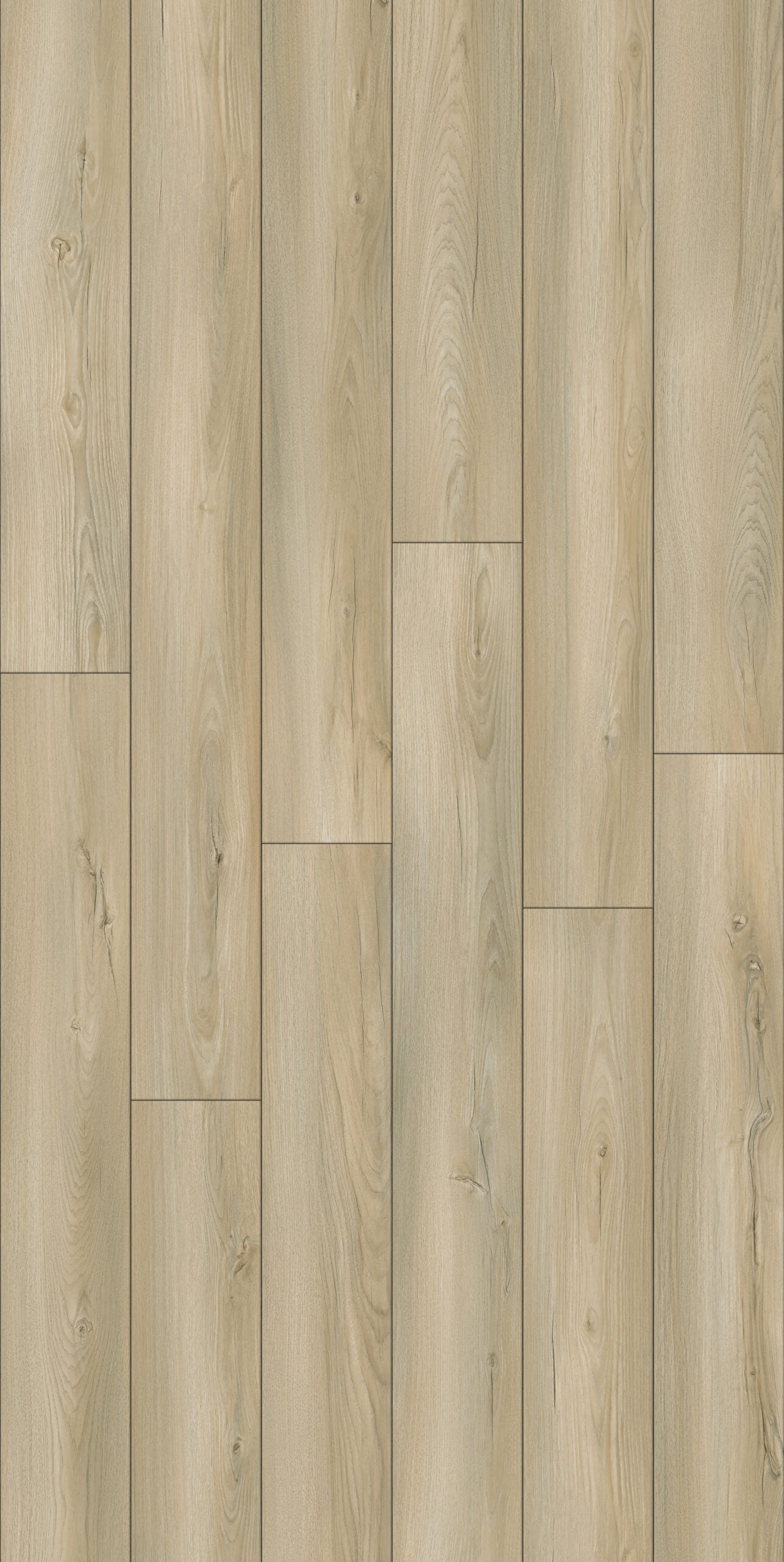 Cotton RS003