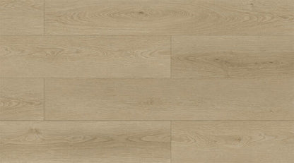 EC8271 Venus Oak