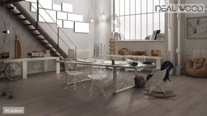 MT8146 Oak, Cardero