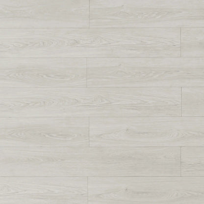 TF8301-F | Arctic Hare