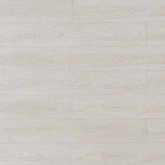 TF8301-F | Arctic Hare