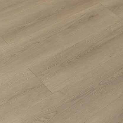 TF8306-F | Canadian goose