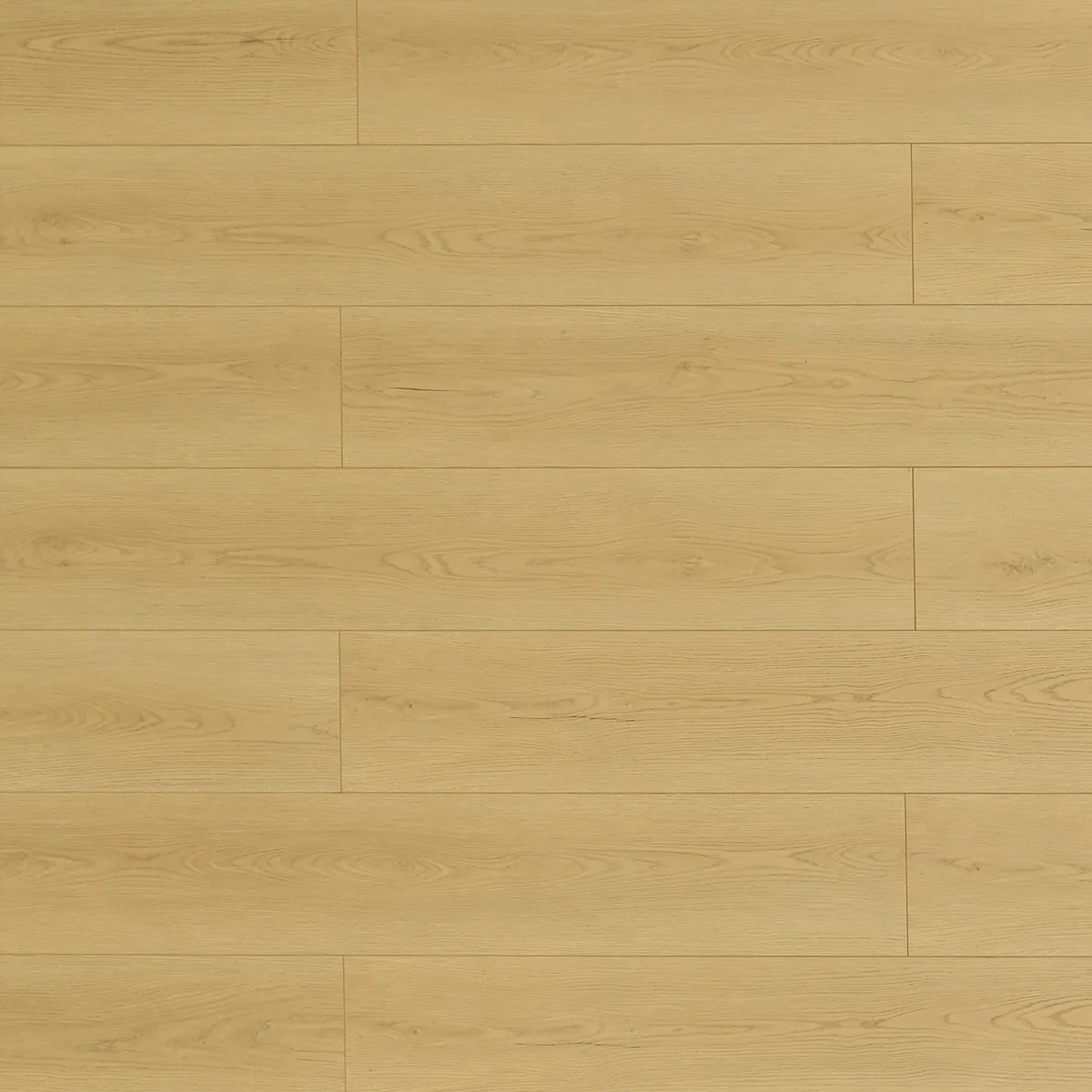 TF8307-F | Prairie Dog