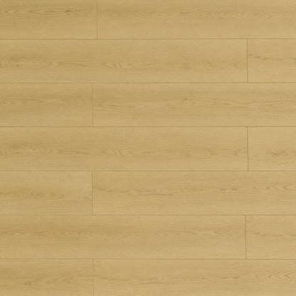 TF8307-F | Prairie Dog