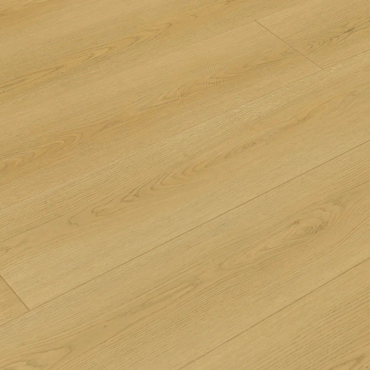 TF8307-F | Prairie Dog