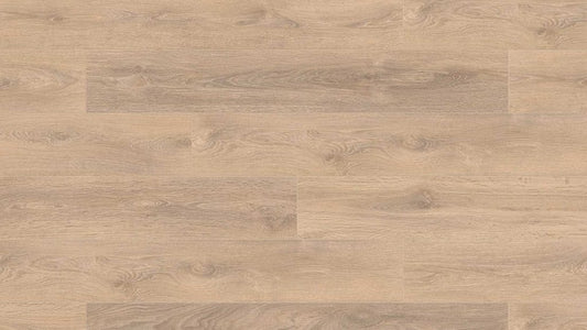 Blonde Oak