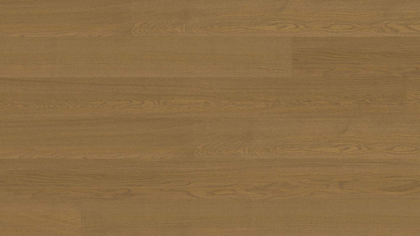 Oak Macchiato